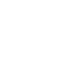 Check Icon